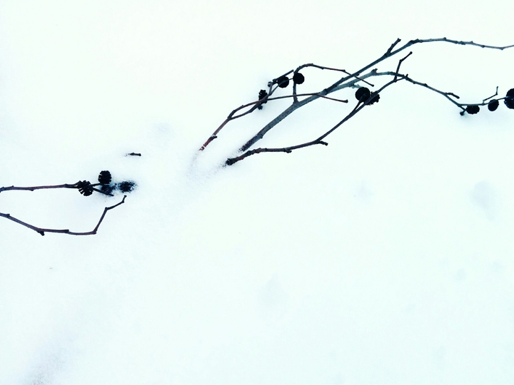 snow