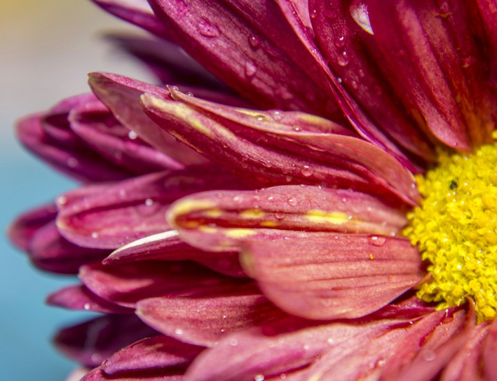 Close shot always fascinates me