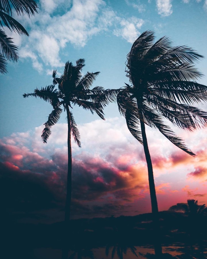 Nature Photography