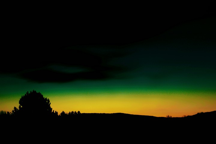 black nature