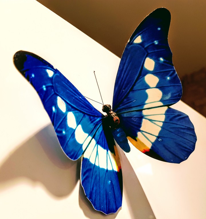 Fly Away