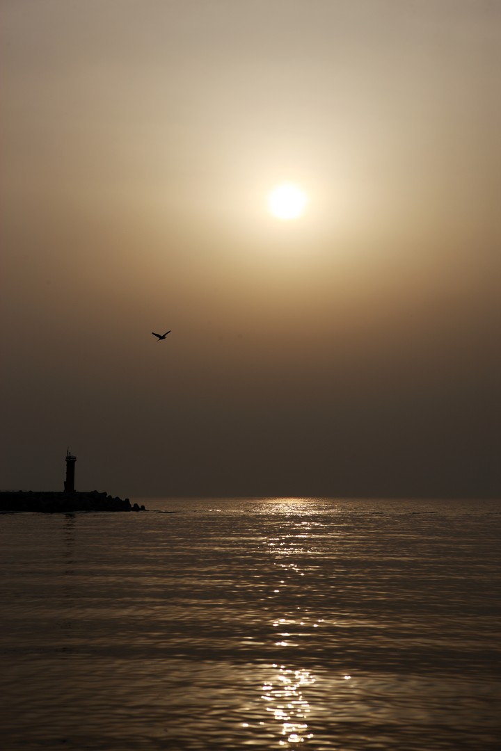 Scenics