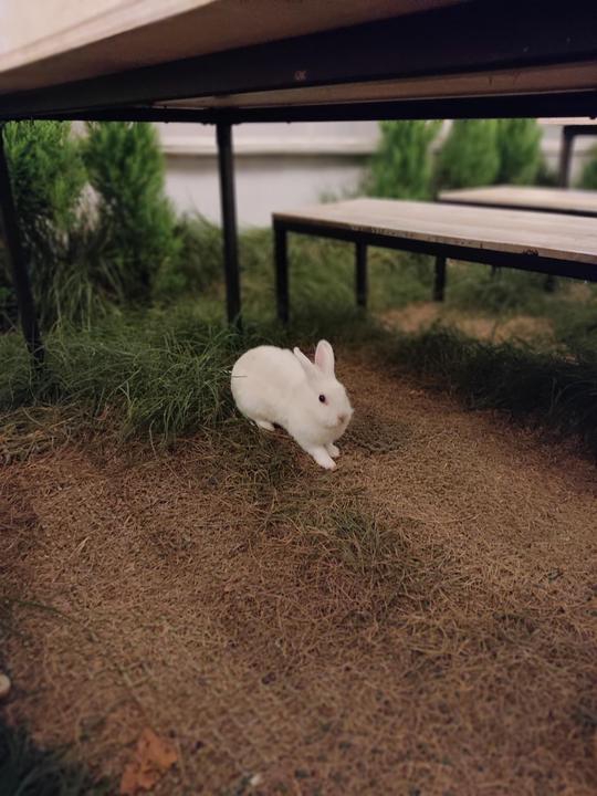 ❤