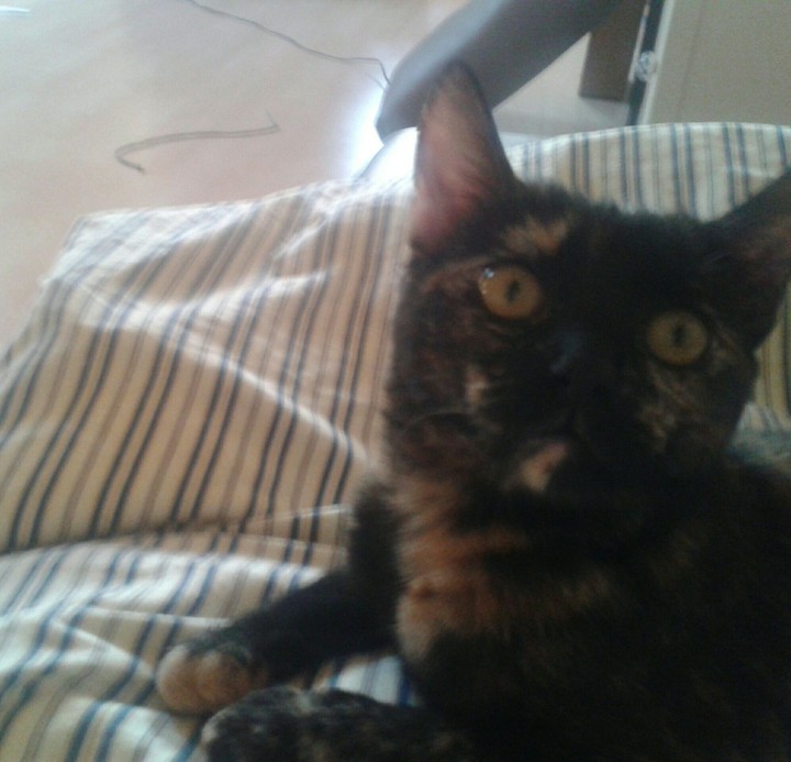 chikita