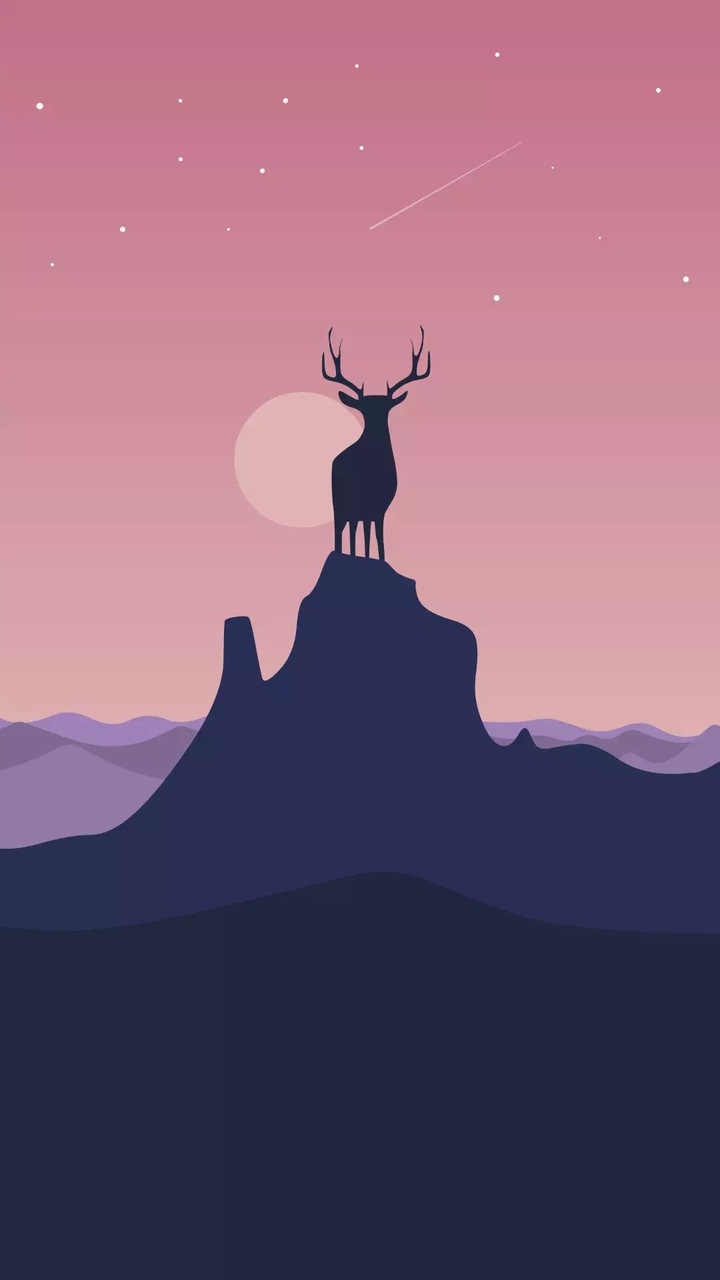 rain deer