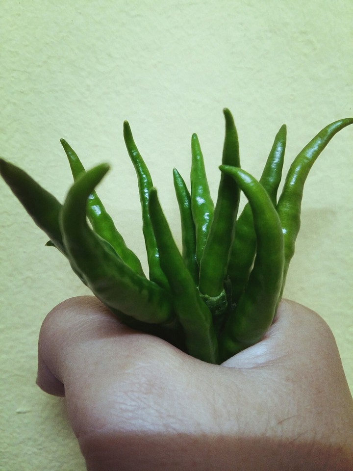 green chili...