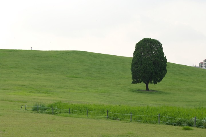 Asia