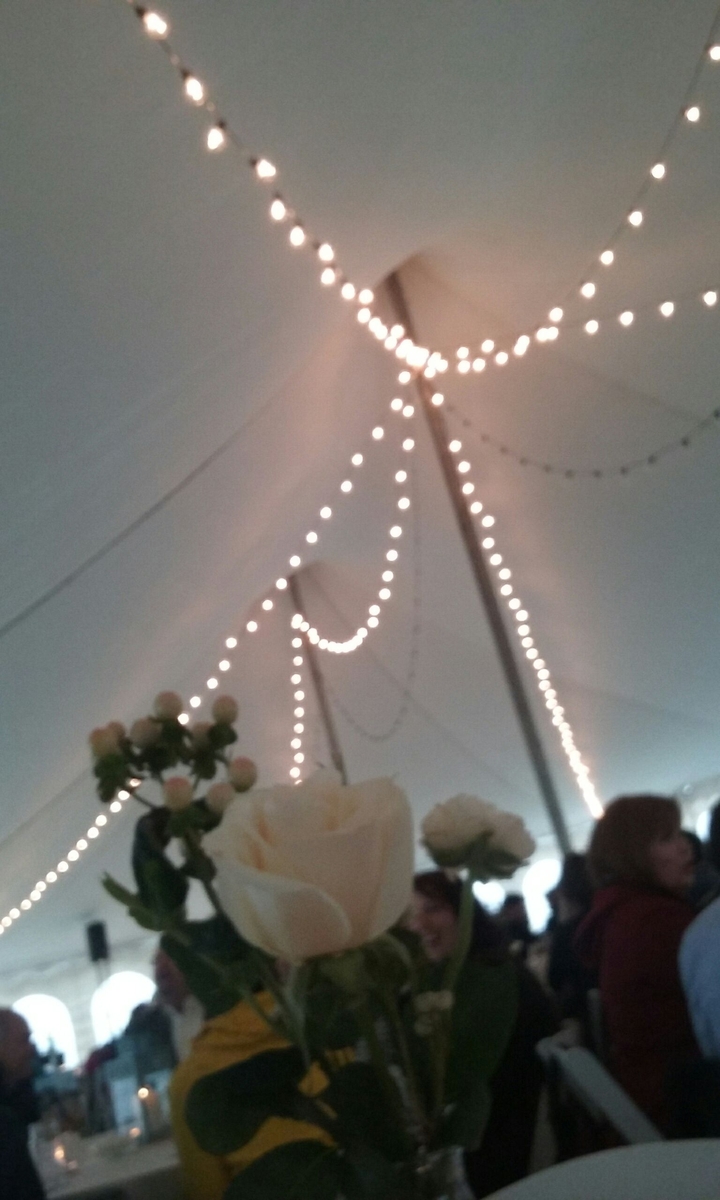 roses and bulb lights