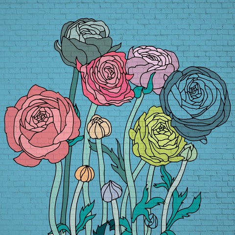 rosas