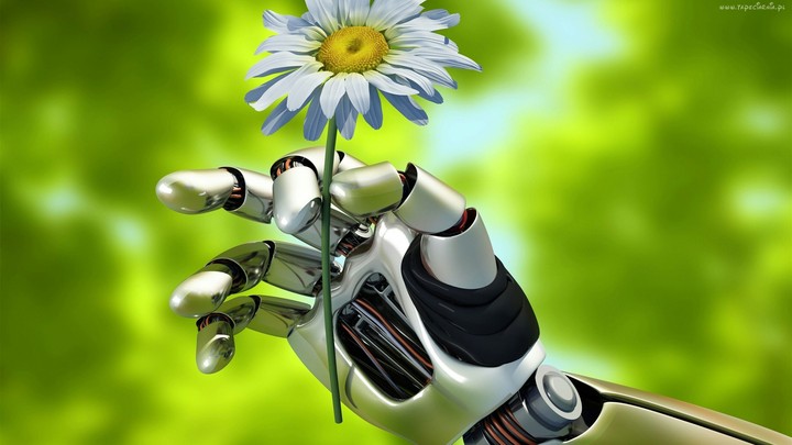 robot