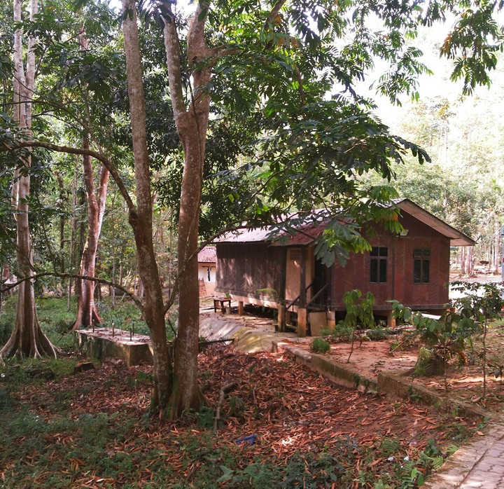 Cabin in forest
