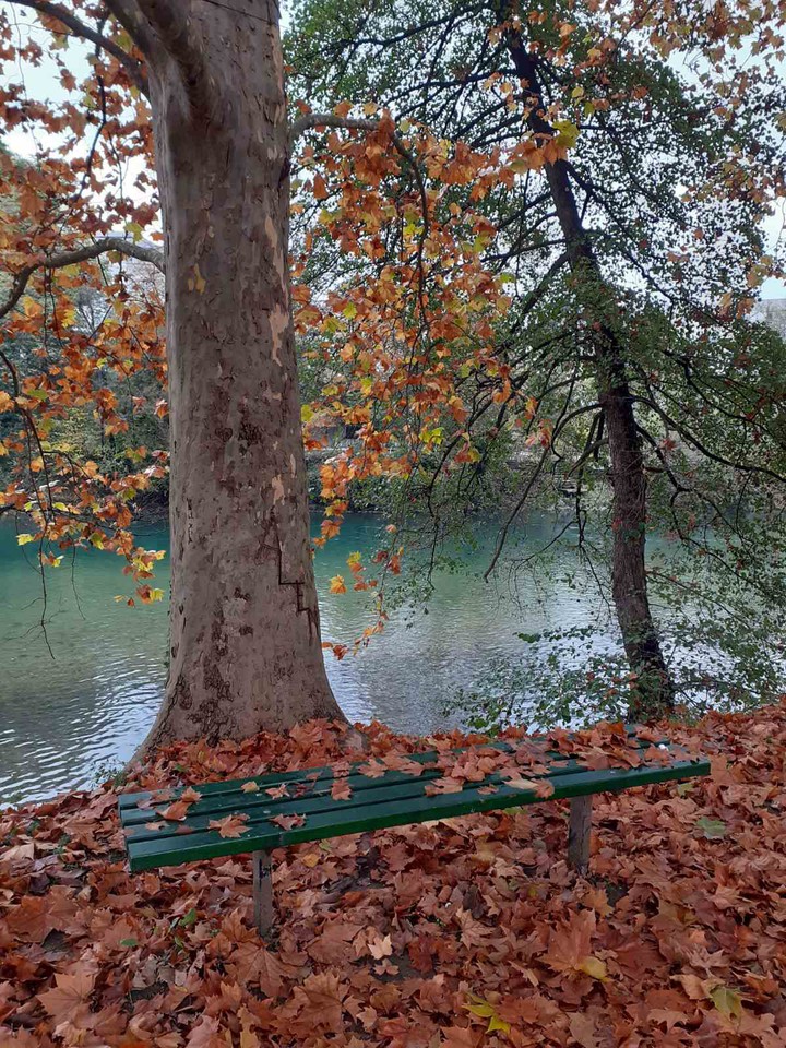 fall