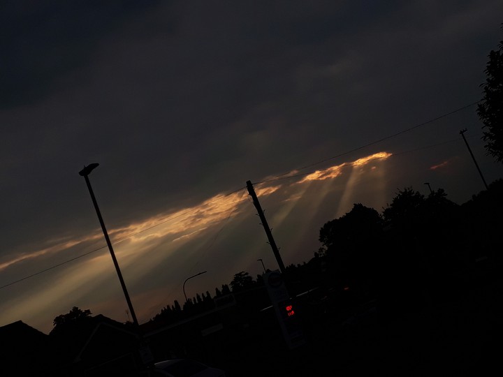 night