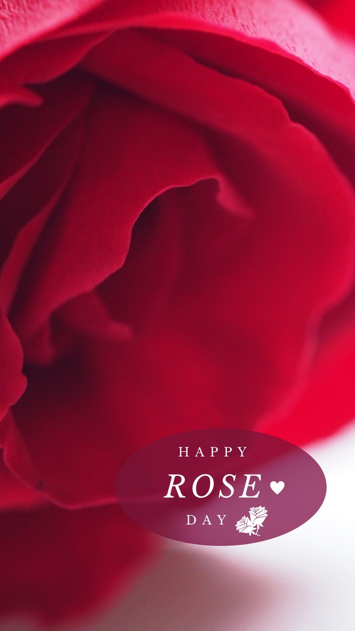 rose day