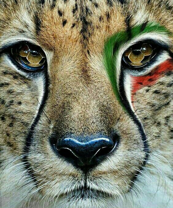 IRAN