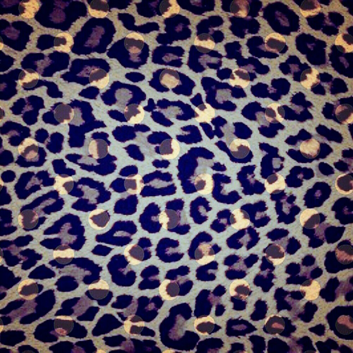 leopard
