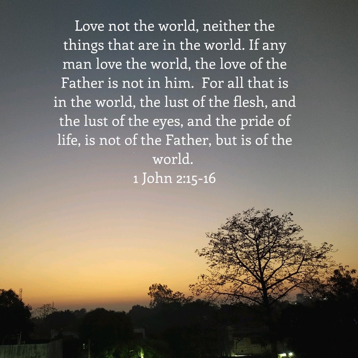 1 JOHN 2:15-16