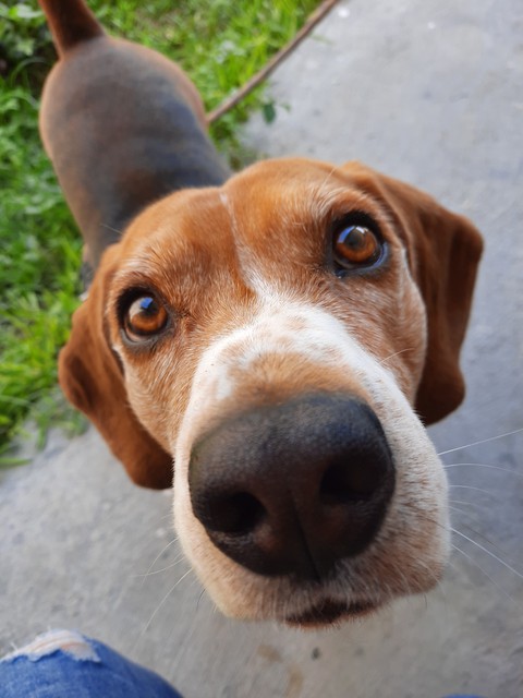 mirada tierna