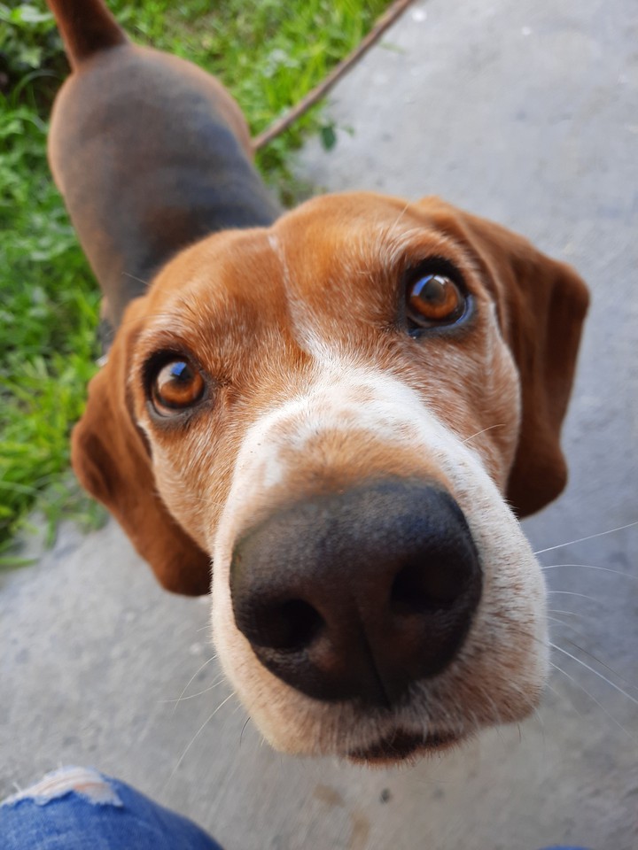 mirada tierna