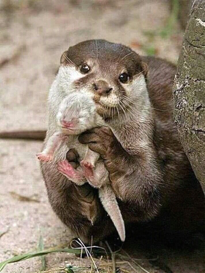 mother and baby