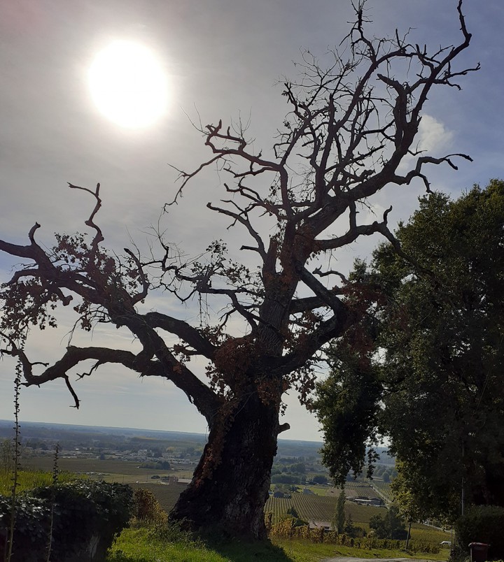 Un paysage magnifique