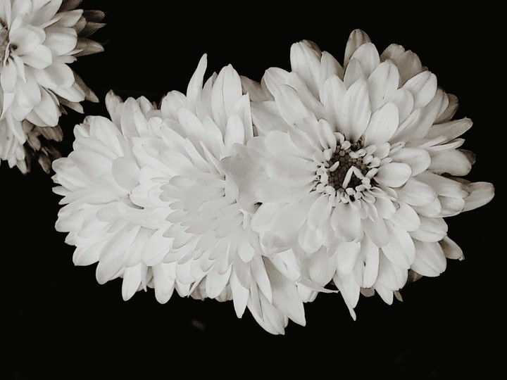 black and white