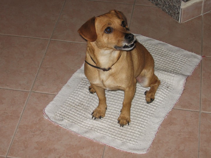 Billy