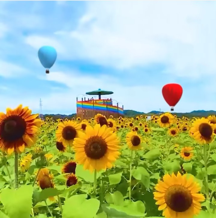 sunflower＆balloon