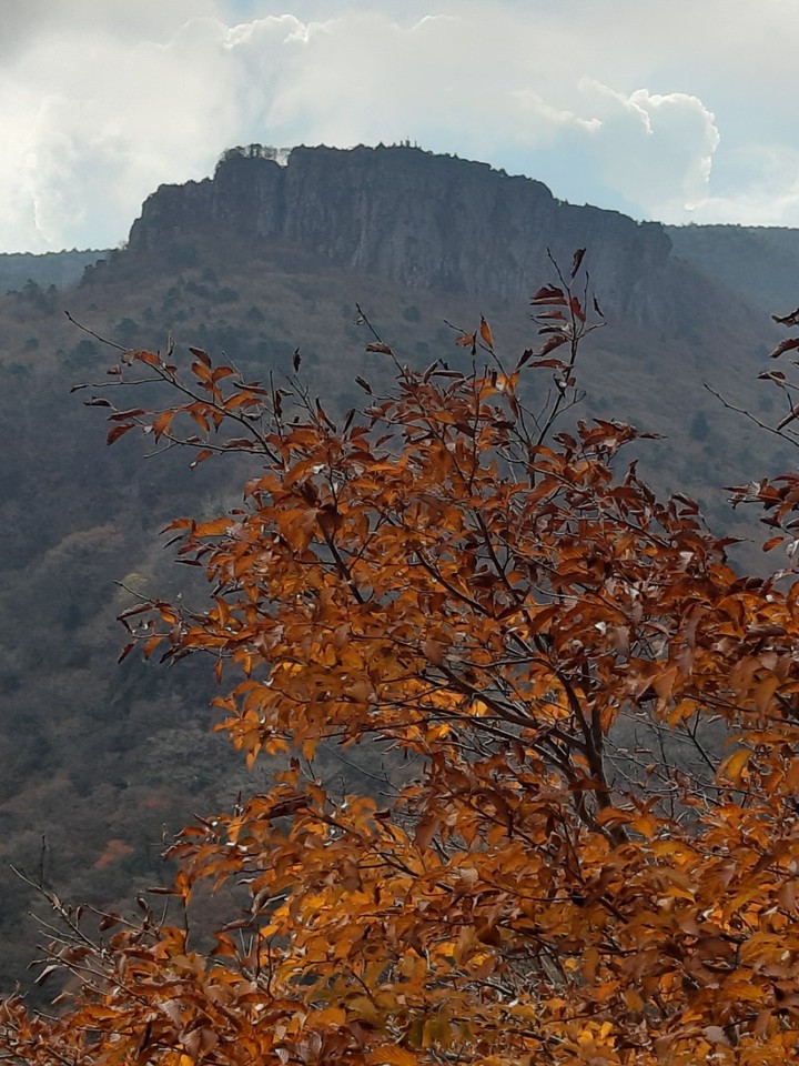 겨울 문턱
