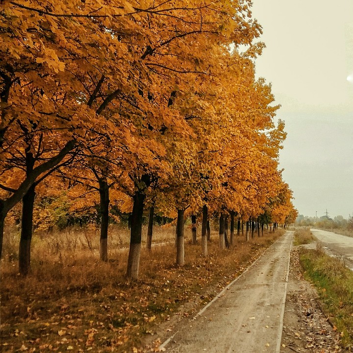 осінь