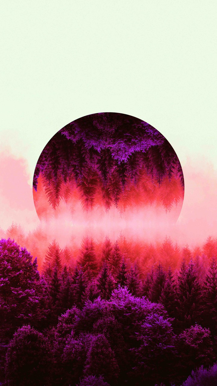 beautiful dreams