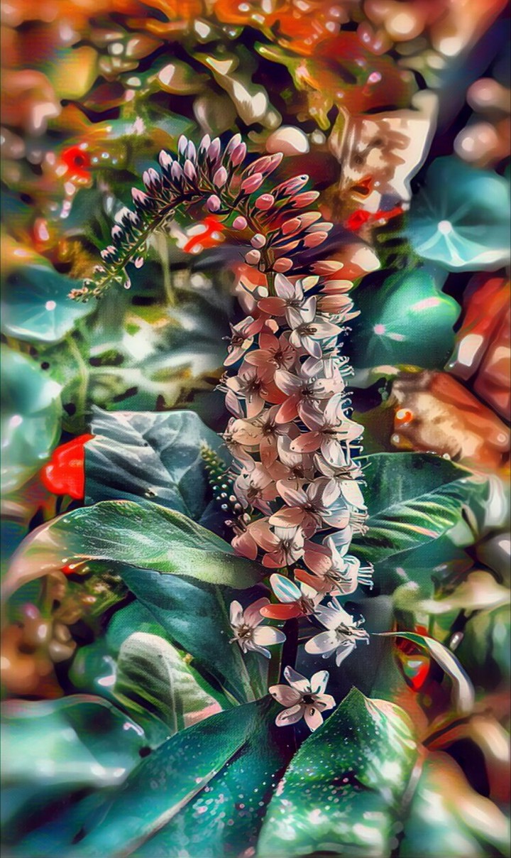 Colors flower