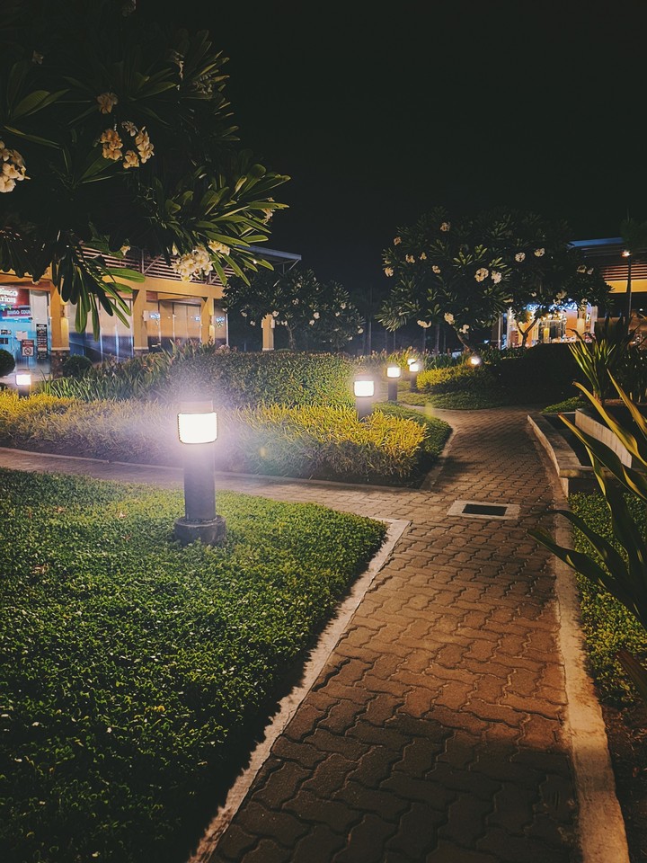 pathway