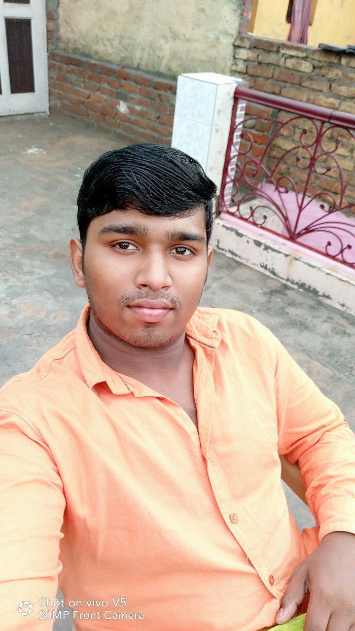 tipu