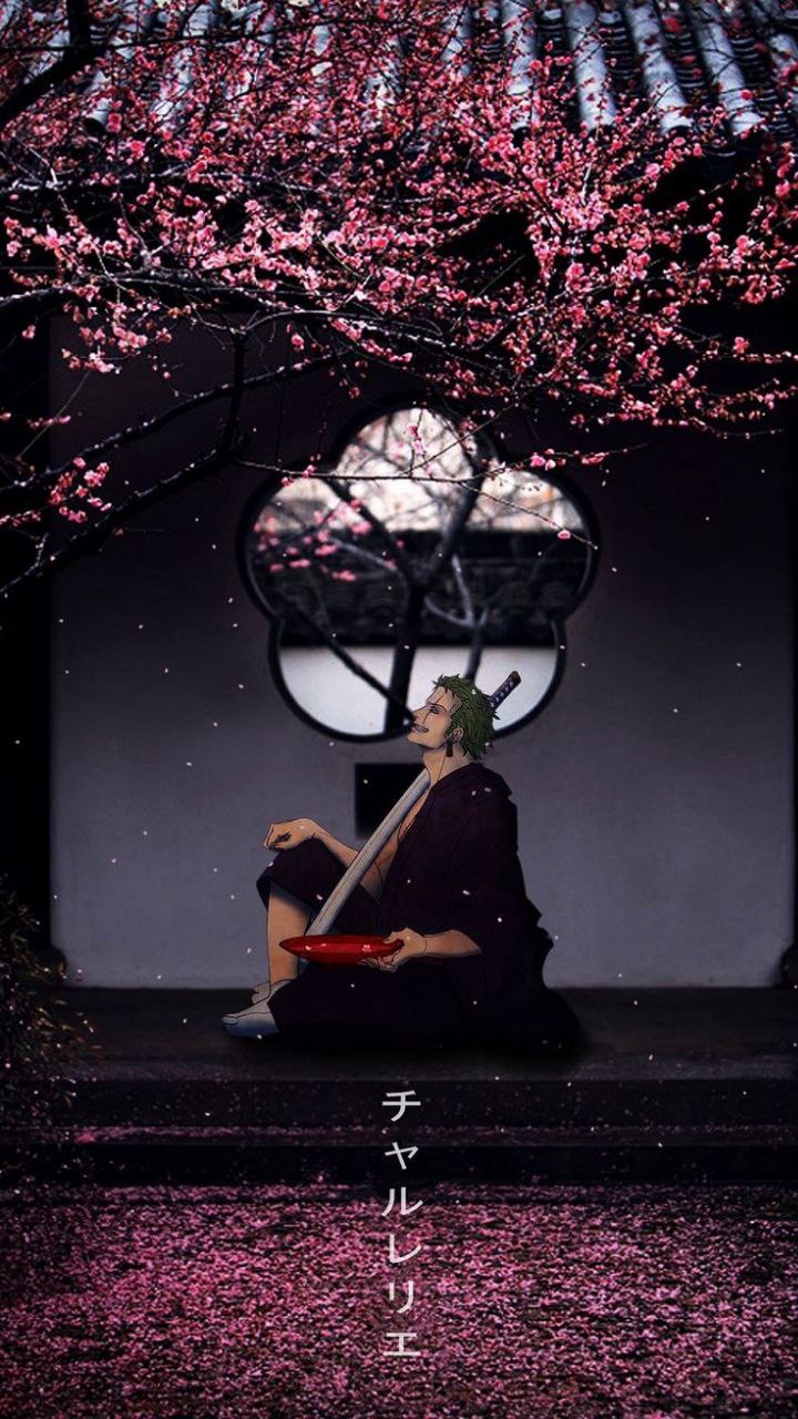 Roronoa Zoro - ONE PIECE