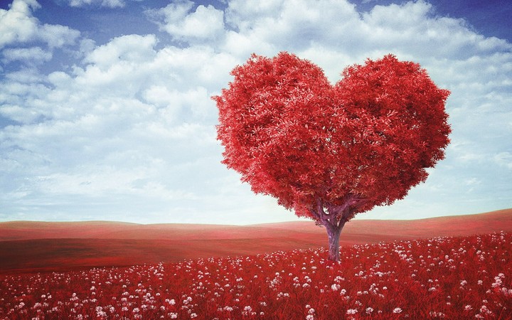 The Tree Of Love