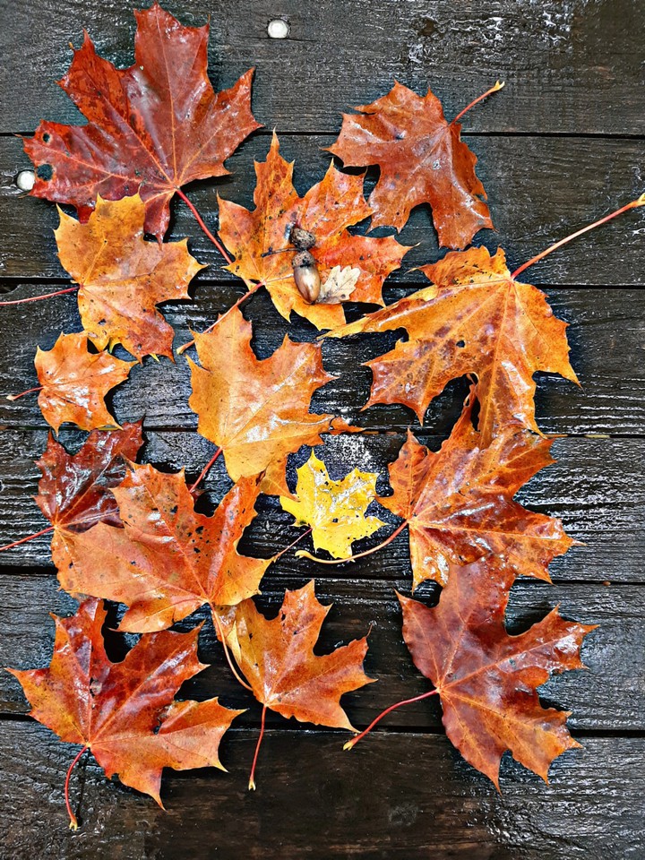 autumn