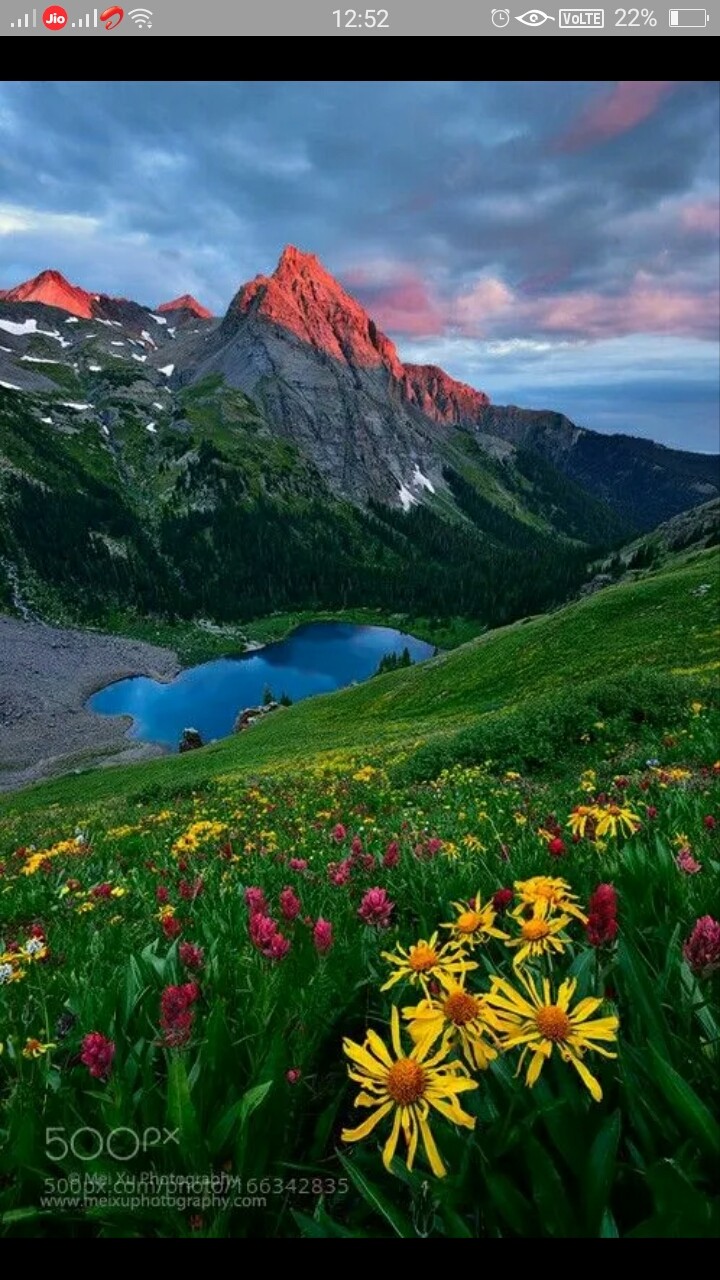 Beautiful Nature
