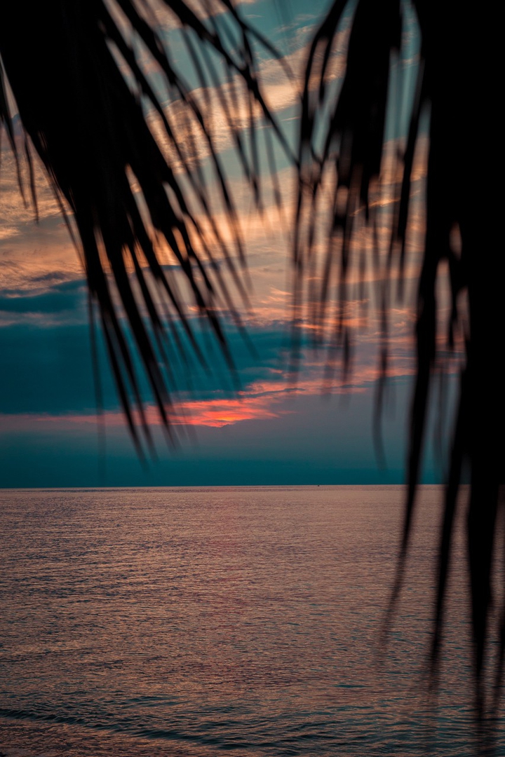 sea
