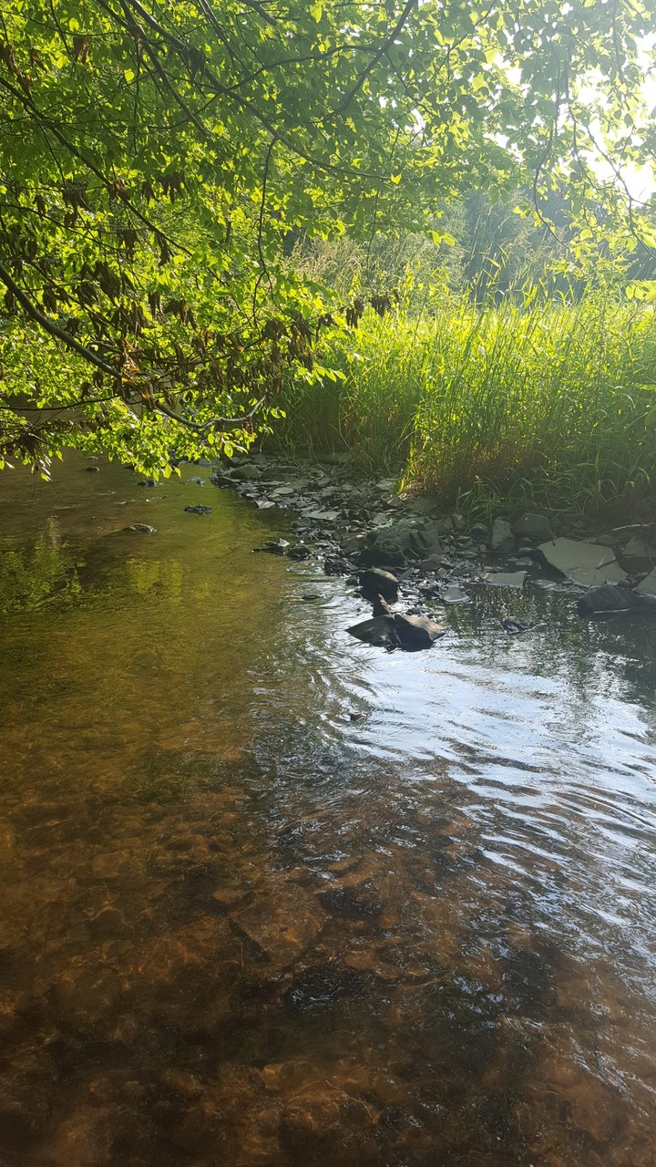 Brölerbach