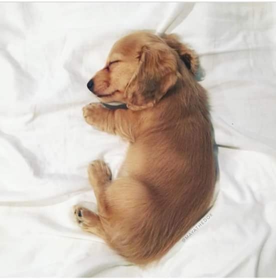 sleeping