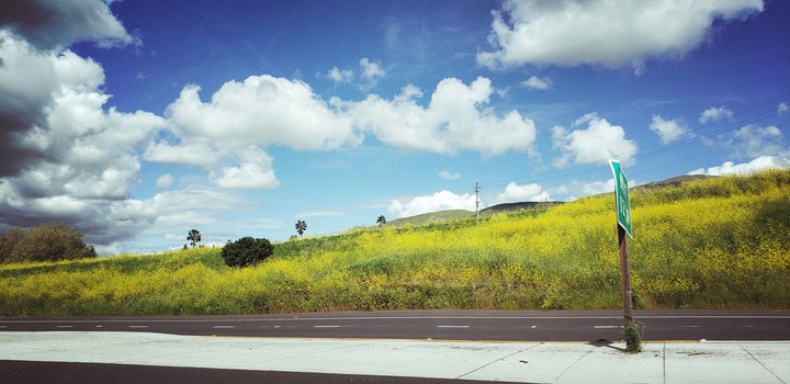 Cali spring