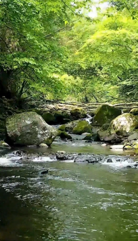 nature