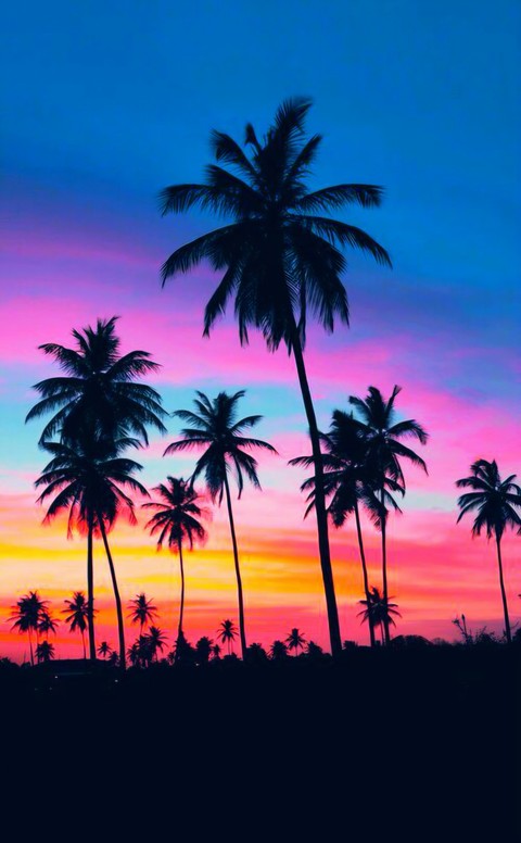 summer, tree壁紙