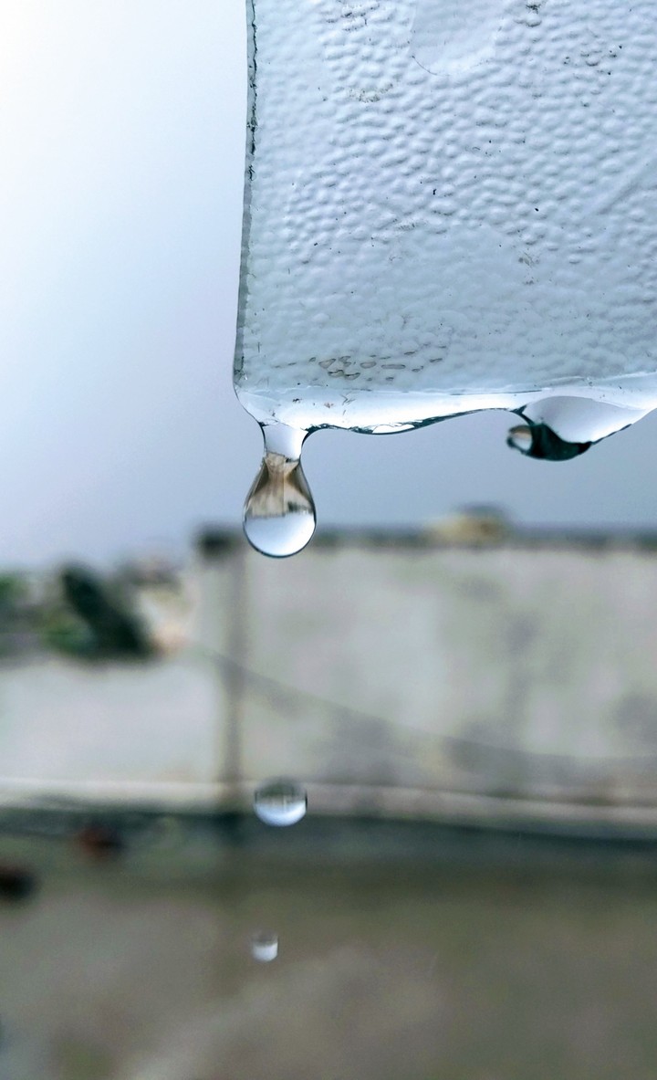 first rain