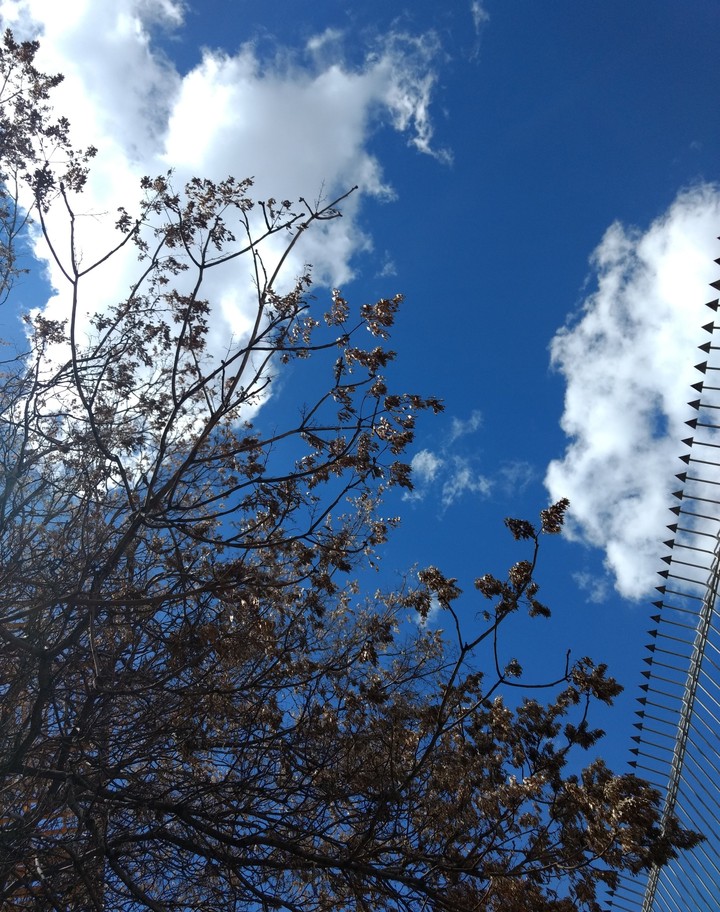 blue sky 2