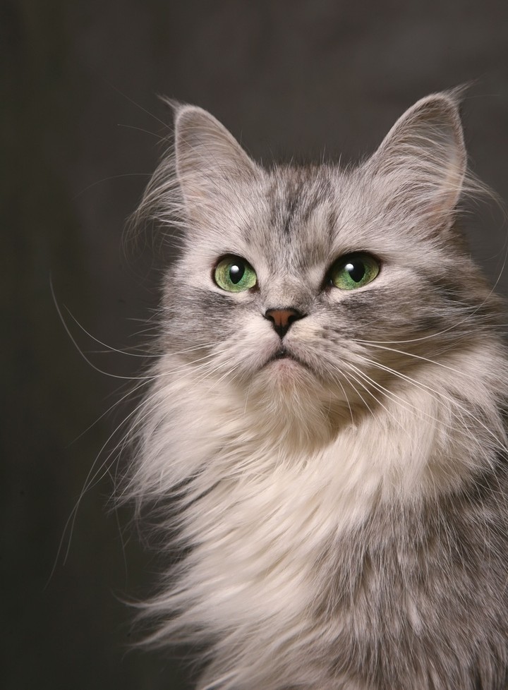 green eyes