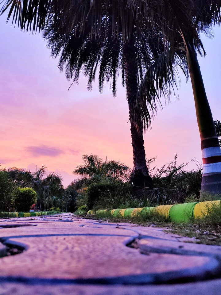 sunset