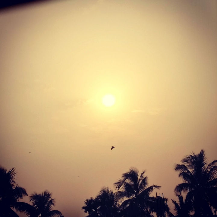 morning