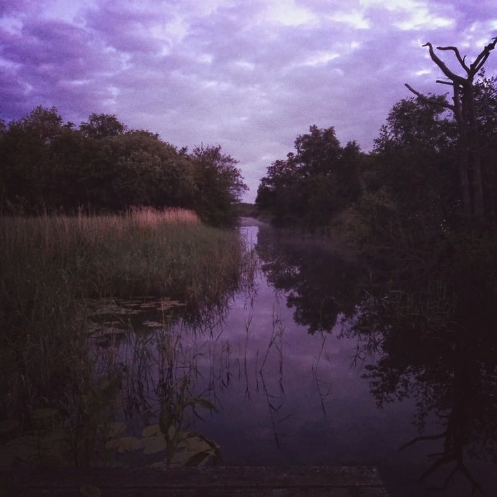 The purple sky